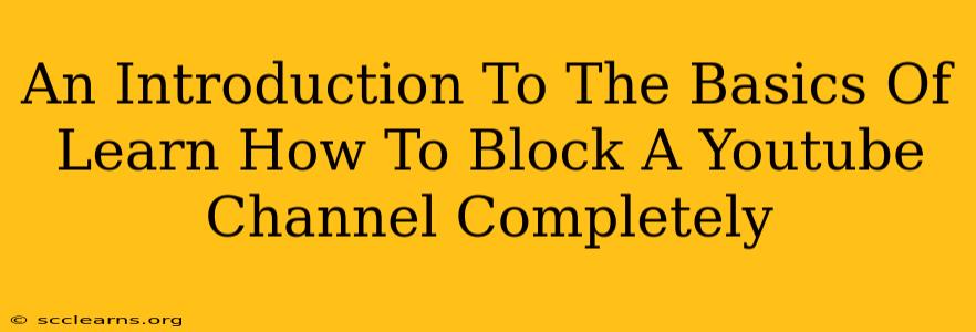 An Introduction To The Basics Of Learn How To Block A Youtube Channel Completely