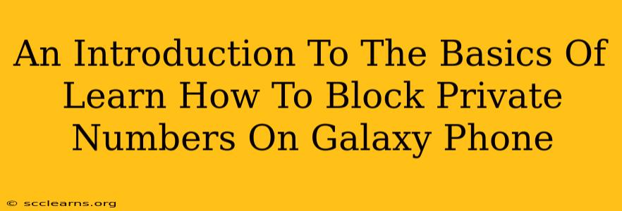 An Introduction To The Basics Of Learn How To Block Private Numbers On Galaxy Phone