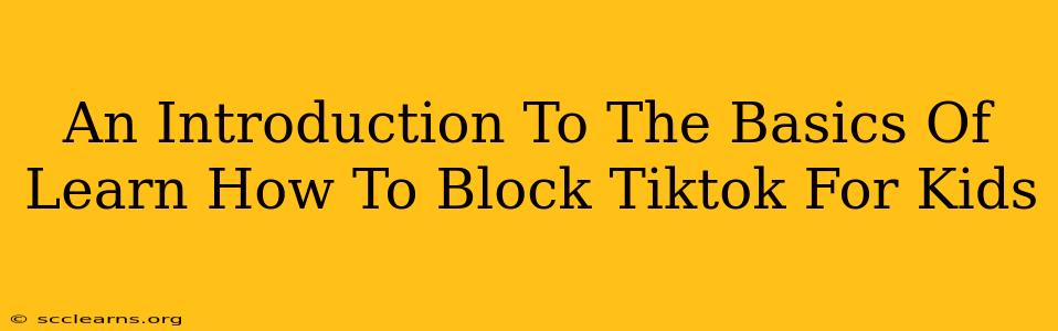 An Introduction To The Basics Of Learn How To Block Tiktok For Kids