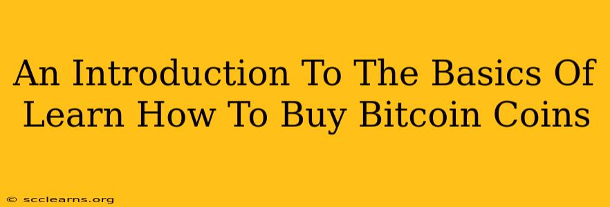 An Introduction To The Basics Of Learn How To Buy Bitcoin Coins