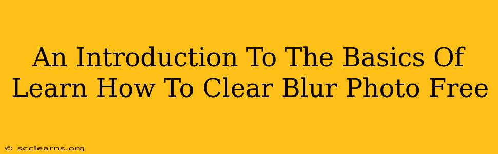 An Introduction To The Basics Of Learn How To Clear Blur Photo Free