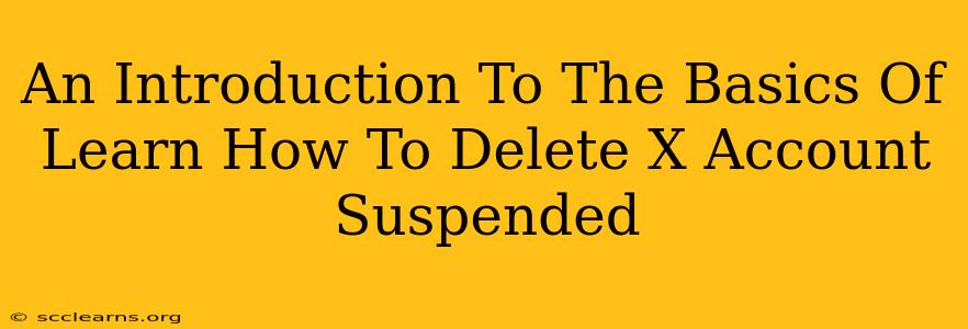 An Introduction To The Basics Of Learn How To Delete X Account Suspended