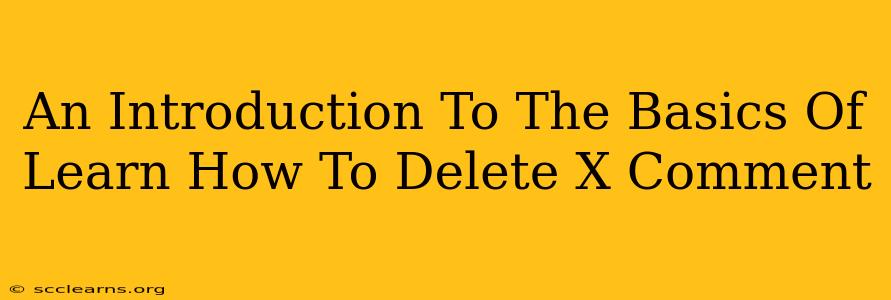 An Introduction To The Basics Of Learn How To Delete X Comment