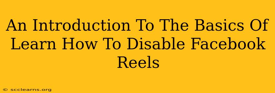 An Introduction To The Basics Of Learn How To Disable Facebook Reels