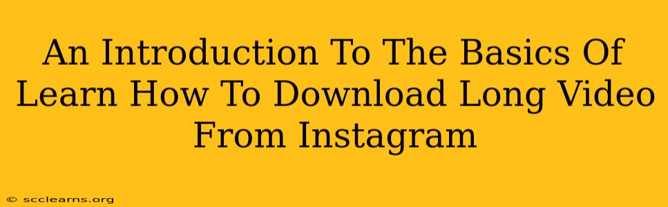 An Introduction To The Basics Of Learn How To Download Long Video From Instagram