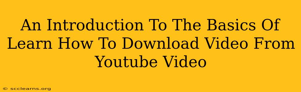 An Introduction To The Basics Of Learn How To Download Video From Youtube Video