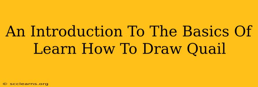 An Introduction To The Basics Of Learn How To Draw Quail