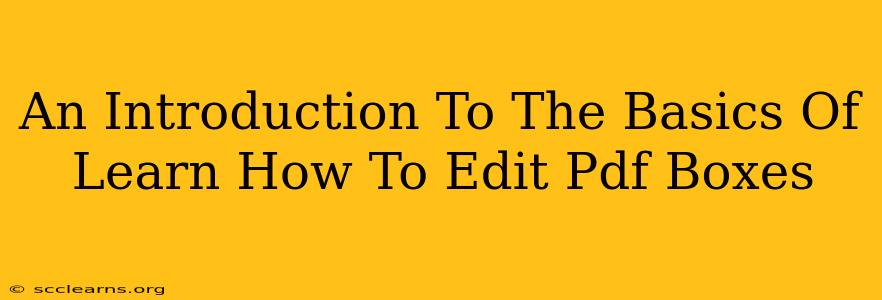 An Introduction To The Basics Of Learn How To Edit Pdf Boxes