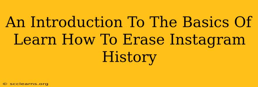 An Introduction To The Basics Of Learn How To Erase Instagram History