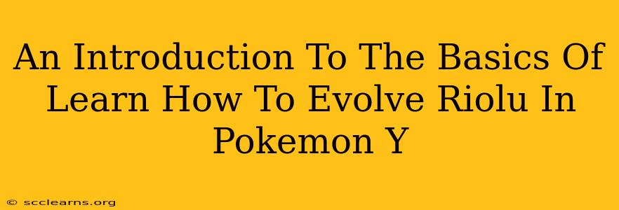 An Introduction To The Basics Of Learn How To Evolve Riolu In Pokemon Y