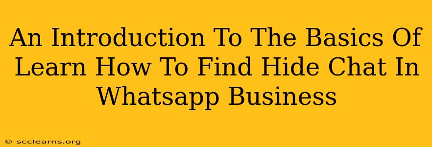 An Introduction To The Basics Of Learn How To Find Hide Chat In Whatsapp Business