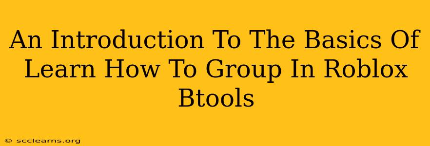 An Introduction To The Basics Of Learn How To Group In Roblox Btools