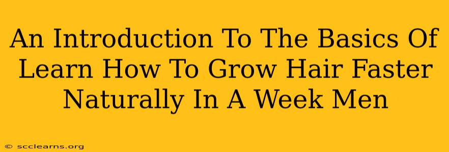 An Introduction To The Basics Of Learn How To Grow Hair Faster Naturally In A Week Men