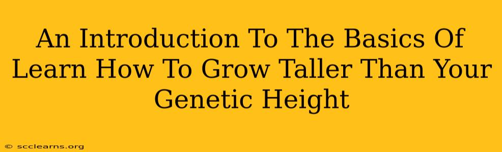 An Introduction To The Basics Of Learn How To Grow Taller Than Your Genetic Height