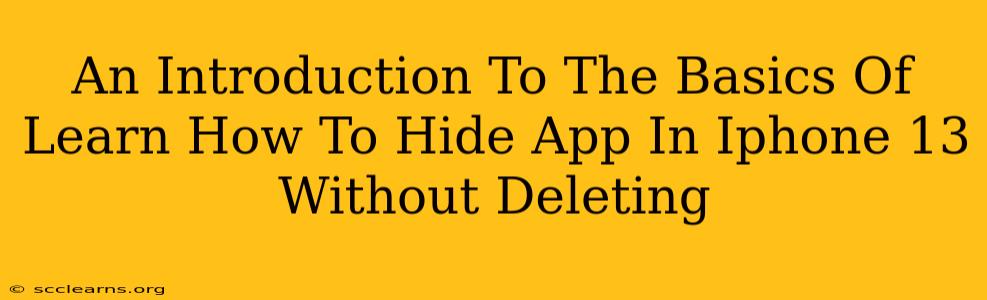 An Introduction To The Basics Of Learn How To Hide App In Iphone 13 Without Deleting