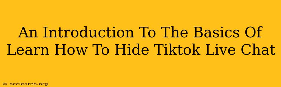 An Introduction To The Basics Of Learn How To Hide Tiktok Live Chat