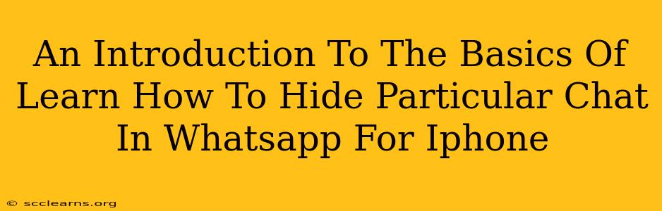 An Introduction To The Basics Of Learn How To Hide Particular Chat In Whatsapp For Iphone