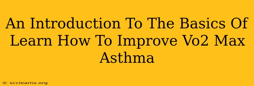 An Introduction To The Basics Of Learn How To Improve Vo2 Max Asthma