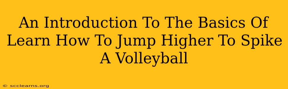 An Introduction To The Basics Of Learn How To Jump Higher To Spike A Volleyball