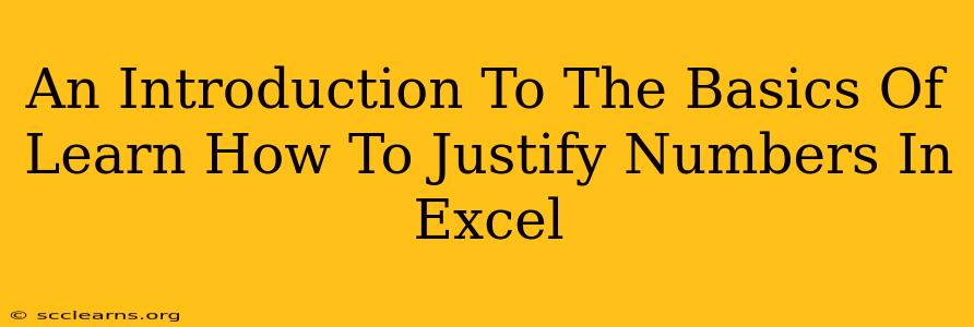 An Introduction To The Basics Of Learn How To Justify Numbers In Excel