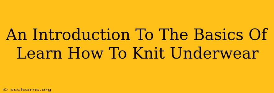 An Introduction To The Basics Of Learn How To Knit Underwear