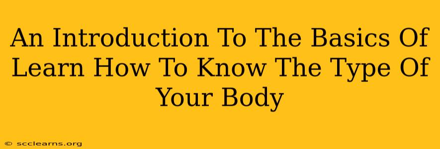 An Introduction To The Basics Of Learn How To Know The Type Of Your Body