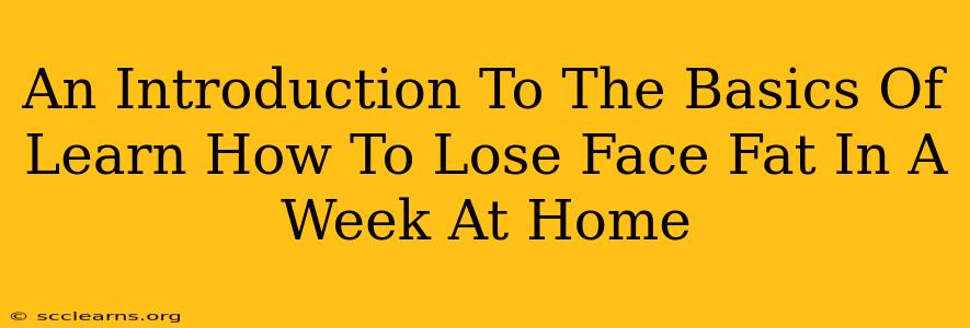 An Introduction To The Basics Of Learn How To Lose Face Fat In A Week At Home