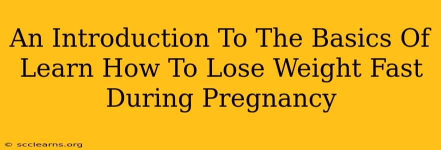 An Introduction To The Basics Of Learn How To Lose Weight Fast During Pregnancy