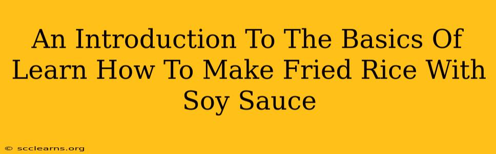 An Introduction To The Basics Of Learn How To Make Fried Rice With Soy Sauce