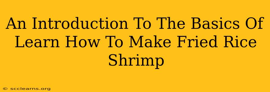 An Introduction To The Basics Of Learn How To Make Fried Rice Shrimp