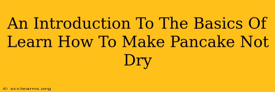 An Introduction To The Basics Of Learn How To Make Pancake Not Dry