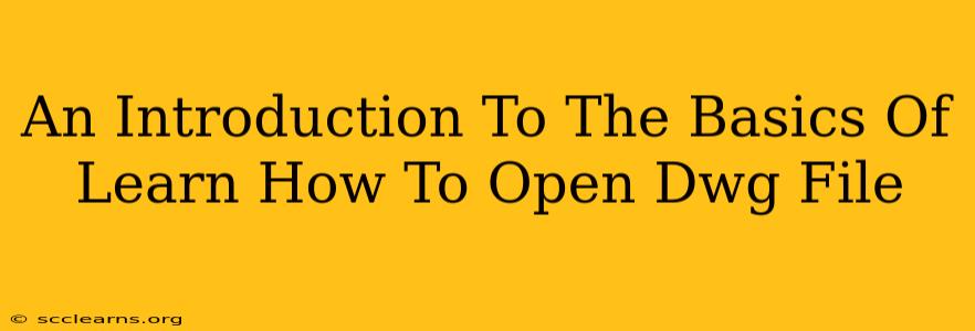 An Introduction To The Basics Of Learn How To Open Dwg File