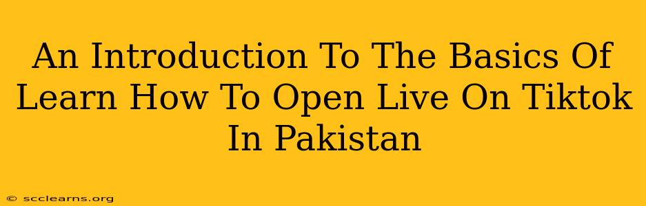 An Introduction To The Basics Of Learn How To Open Live On Tiktok In Pakistan