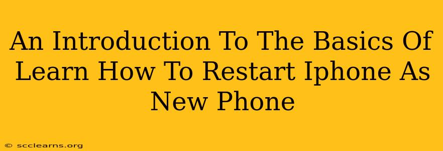 An Introduction To The Basics Of Learn How To Restart Iphone As New Phone