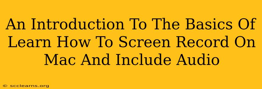 An Introduction To The Basics Of Learn How To Screen Record On Mac And Include Audio