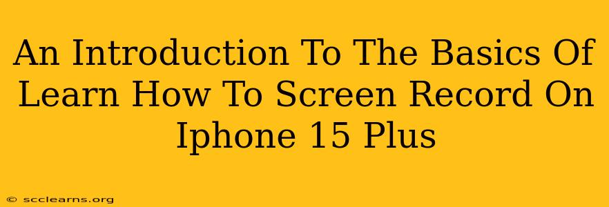 An Introduction To The Basics Of Learn How To Screen Record On Iphone 15 Plus