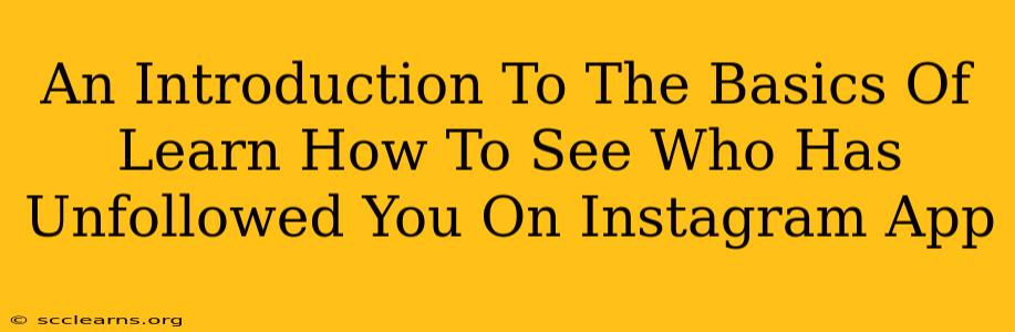 An Introduction To The Basics Of Learn How To See Who Has Unfollowed You On Instagram App