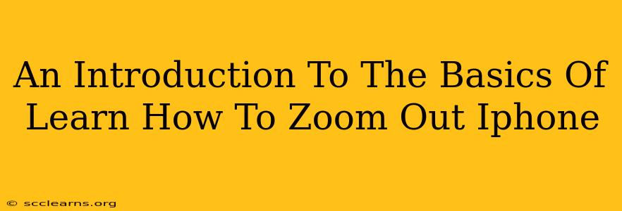 An Introduction To The Basics Of Learn How To Zoom Out Iphone