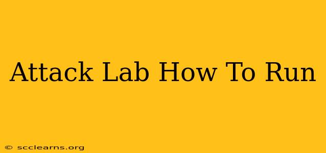 Attack Lab How To Run