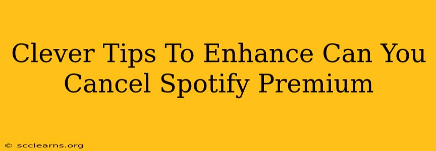 Clever Tips To Enhance Can You Cancel Spotify Premium