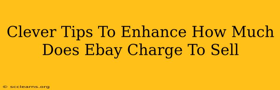 Clever Tips To Enhance How Much Does Ebay Charge To Sell