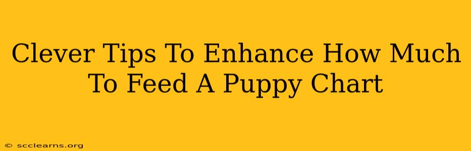 Clever Tips To Enhance How Much To Feed A Puppy Chart