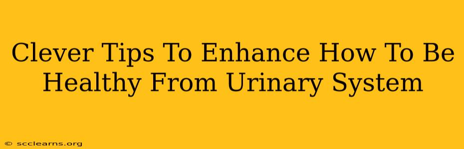 Clever Tips To Enhance How To Be Healthy From Urinary System