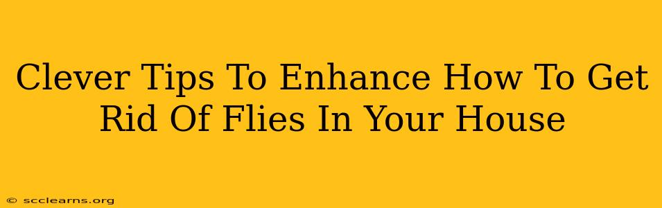 Clever Tips To Enhance How To Get Rid Of Flies In Your House