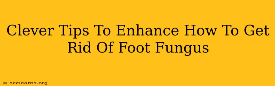 Clever Tips To Enhance How To Get Rid Of Foot Fungus