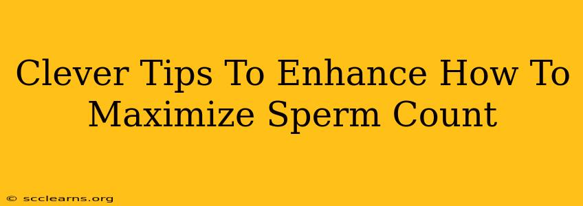 Clever Tips To Enhance How To Maximize Sperm Count