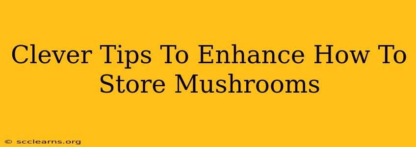 Clever Tips To Enhance How To Store Mushrooms