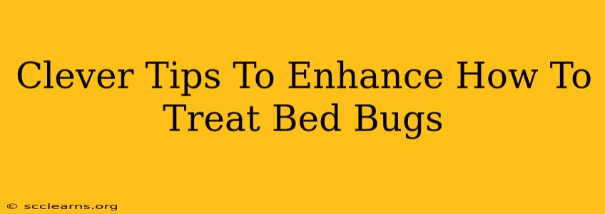 Clever Tips To Enhance How To Treat Bed Bugs