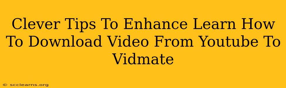 Clever Tips To Enhance Learn How To Download Video From Youtube To Vidmate