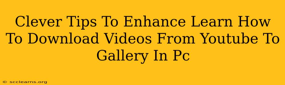 Clever Tips To Enhance Learn How To Download Videos From Youtube To Gallery In Pc